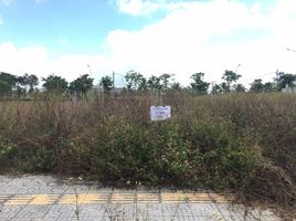  Land for sale in O Cho Dua, Hanoi, O Cho Dua, Dong Da, Hanoi