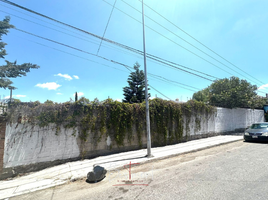 在Puebla出租的 土地, Puebla, Puebla