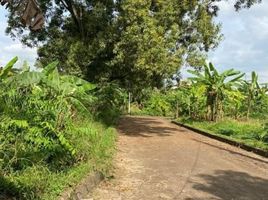  Land for sale in Ciputat, Tangerang, Ciputat