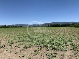  Land for sale in Chile, San Vicente, Cachapoal, Libertador General Bernardo Ohiggins, Chile
