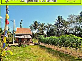  Land for sale in Kepanjen, Malang Regency, Kepanjen