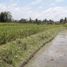  Land for sale in Tampak Siring, Gianyar, Tampak Siring