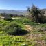  Land for sale in Choapa Coquimbo, Illapel, Choapa, Coquimbo