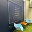 0 제곱미터입니다 Office for rent in 치와와, 치와와, 치와와