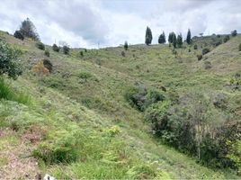  Terreno (Parcela) en venta en Guarne, Antioquia, Guarne