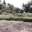  Land for sale in Ubud, Gianyar, Ubud