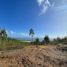  Terreno (Parcela) en venta en Chile, Penco, Concepción, Biobío, Chile
