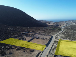  Terreno (Parcela) en alquiler en Chile, Coquimbo, Elqui, Coquimbo, Chile