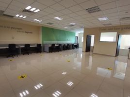 420 SqM Office for rent in Merida, Yucatan, Merida