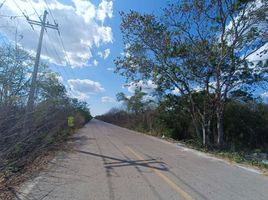 Terreno (Parcela) en venta en Uman, Yucatán, Uman