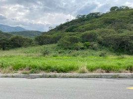  Land for sale in Loja, Malacatos Valladolid, Loja, Loja