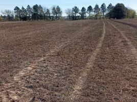  Land for sale in Santa Fe, Rosario, Santa Fe