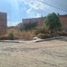  Grundstück zu verkaufen in Allende, Guanajuato, Allende