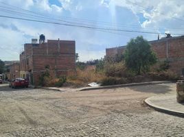  Grundstück zu verkaufen in Allende, Guanajuato, Allende