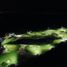  Terreno (Parcela) en venta en Progreso, Yucatán, Progreso