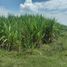  Villa for sale in Candelaria, Valle Del Cauca, Candelaria