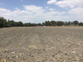  Land for sale in Calpan, Puebla, Calpan