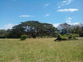  Land for sale in Rio Hato, Anton, Rio Hato