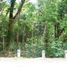  Land for sale in Bacnotan, La Union, Bacnotan