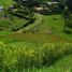  Land for sale in Neira, Caldas, Neira