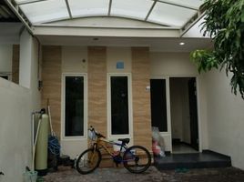 4 Schlafzimmer Villa zu verkaufen in Tambaksari, East Jawa, Tambaksari