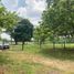  Land for sale in Nacajuca, Tabasco, Nacajuca