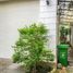 4 Bedroom House for sale in Thao Dien, Ho Chi Minh City, Thao Dien