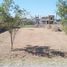  Land for sale in Canuelas, Buenos Aires, Canuelas
