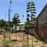  Terreno (Parcela) en venta en Mazatan, Chiapas, Mazatan