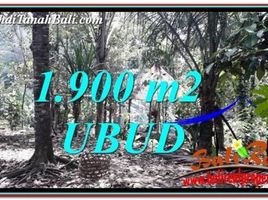  Land for sale in Ubud, Gianyar, Ubud