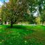  Land for sale in Chile, Santiago, Santiago, Santiago, Chile