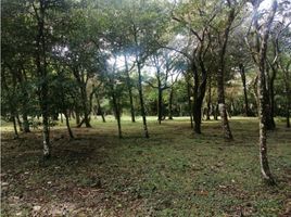  Land for sale in Cocle, Anton, Anton, Cocle