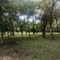  Land for sale in Anton, Cocle, Anton, Anton, Cocle
