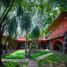 在Morelos出售的10 卧室 屋, Cuernavaca, Morelos