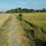  Land for sale in Mejayan, East Jawa, Mejayan, Madiun