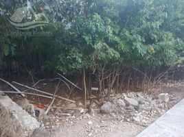  Land for sale in Cancun, Quintana Roo, Cancun