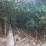  Land for sale in Cancun, Quintana Roo, Cancun