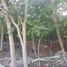  Land for sale in Cancun, Quintana Roo, Cancun