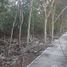  Land for sale in Cancun, Quintana Roo, Cancun