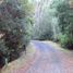  Land for sale in Chile, Pucon, Cautin, Araucania, Chile