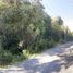  Terreno (Parcela) en venta en Chile, Valdivia, Valdivia, Los Ríos, Chile