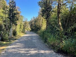  Terreno (Parcela) en venta en Chile, Valdivia, Valdivia, Los Ríos, Chile