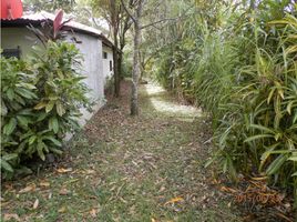 3 Schlafzimmer Haus zu verkaufen in Boquete, Chiriqui, Jaramillo