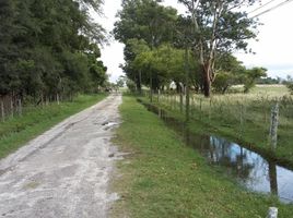 Land for sale in Magdalena, Buenos Aires, Magdalena