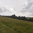  Land for sale in Chile, Los Muermos, Llanquihue, Los Lagos, Chile