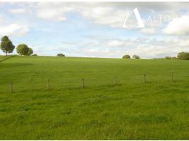  Land for sale in Chile, Los Muermos, Llanquihue, Los Lagos, Chile