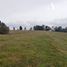  Land for sale in Chile, Los Muermos, Llanquihue, Los Lagos, Chile