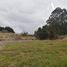  Land for sale in Chile, Los Muermos, Llanquihue, Los Lagos, Chile