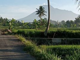  Terreno (Parcela) en venta en Seyegan, Yogyakarta, Seyegan, Sleman