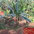 Terreno (Parcela) en venta en Pamulang, Banten, Pamulang
